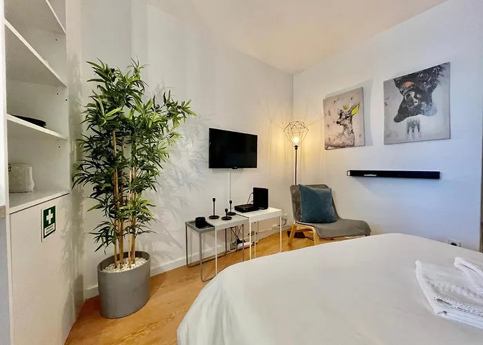 Historic Center • Collection By Perpetual Relax Braga